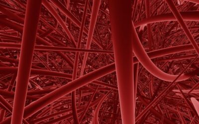 Lebenswichtig – Was Ist Mikrozirkulation?