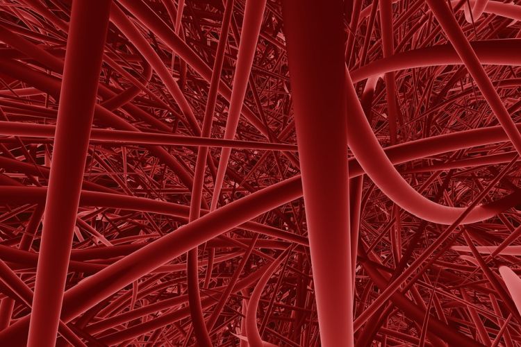 Lebenswichtig – Was Ist Mikrozirkulation?