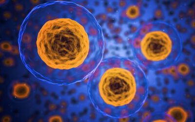 Stoffwechsel und Hormone