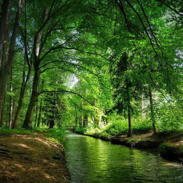 Wege zu mehr Balance - Achtsamkeit und Resilienz Wege zur Balance